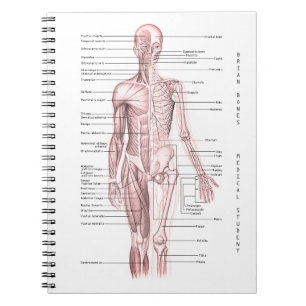 Human Anatomy Medical Diagram Personalised School Notebook