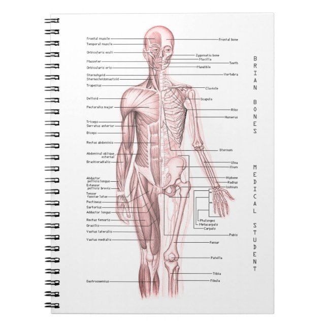 Human Anatomy Medical Diagram Personalised School Notebook (Front)