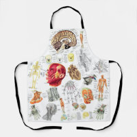Human Anatomy Medical Diagrams Novelty Science