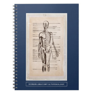 Human Anatomy & Physiology Customised Notebook