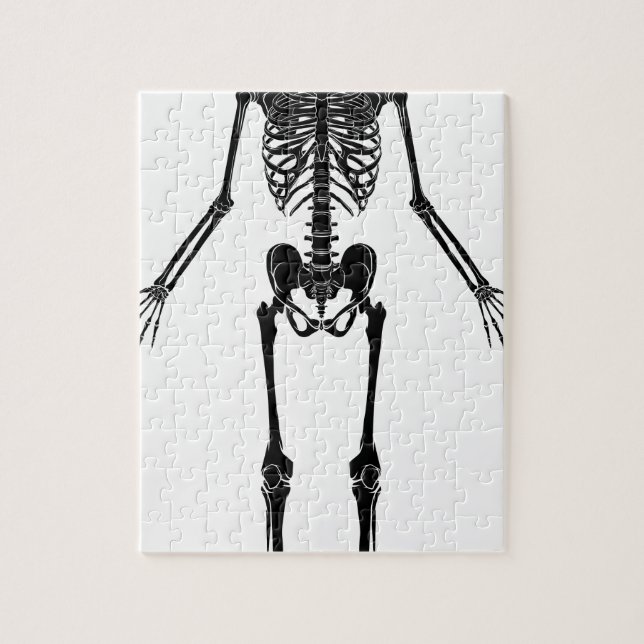 Human Anatomy Skeleton Jigsaw Puzzle (Vertical)