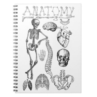 Human Anatomy textbook for notes Notebook