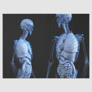 human anatomy tissue paper