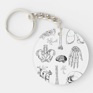 Human Anatomy Vintage Medical Illustration Set Key Ring