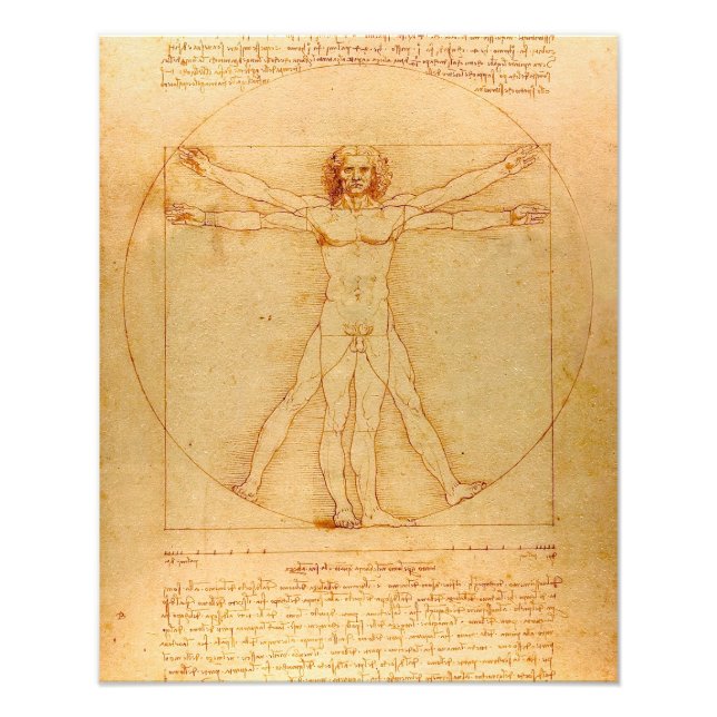 Human Anatomy, Vitruvian Man by Leonardo da Vinci Photo Print (Front)