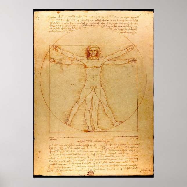 Human Anatomy, Vitruvian Man by Leonardo da Vinci Poster (Front)