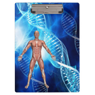 Human Anatomy with DNA Strands Clipboard