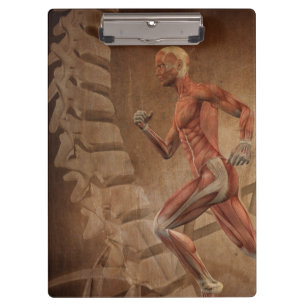 Human Anatomy with Spine Clipboard