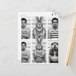 Human and Wildlife Criminals Groundhog and Rabbit Postcard