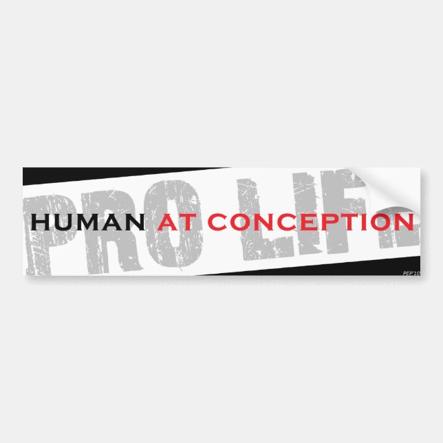 Human At Conception Bumper Sticker (Front)