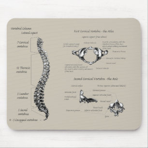 Human backbone mouse pad