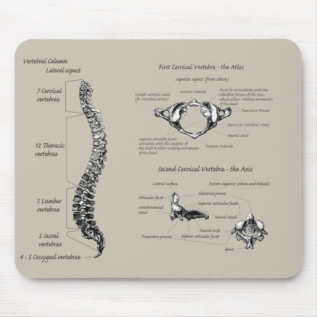 Human backbone mouse pad (Front)