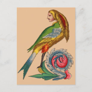 human bird postcard