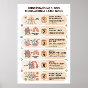 Human Blood Circulation: A 6-Step Educational Poster