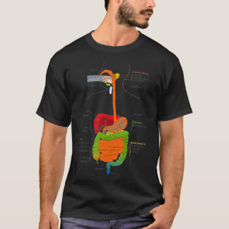 Human Body Digestive System Gastrointestinal Tract T-Shirt