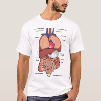 Human Body T-Shirt