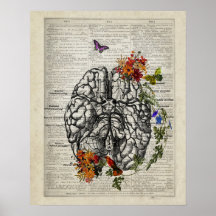 Human Brain Anatomy with Flowers Butterflies