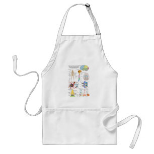 Human Brain and Central Nervous System Diagram Standard Apron