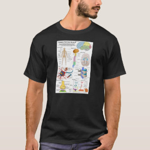 Human Brain and Central Nervous System Diagram T-Shirt