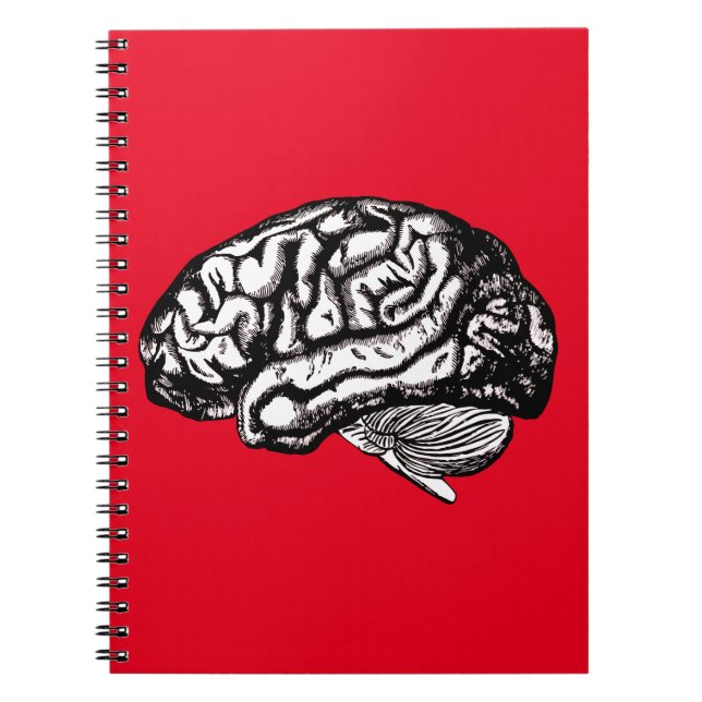 human brain notebook (Front)