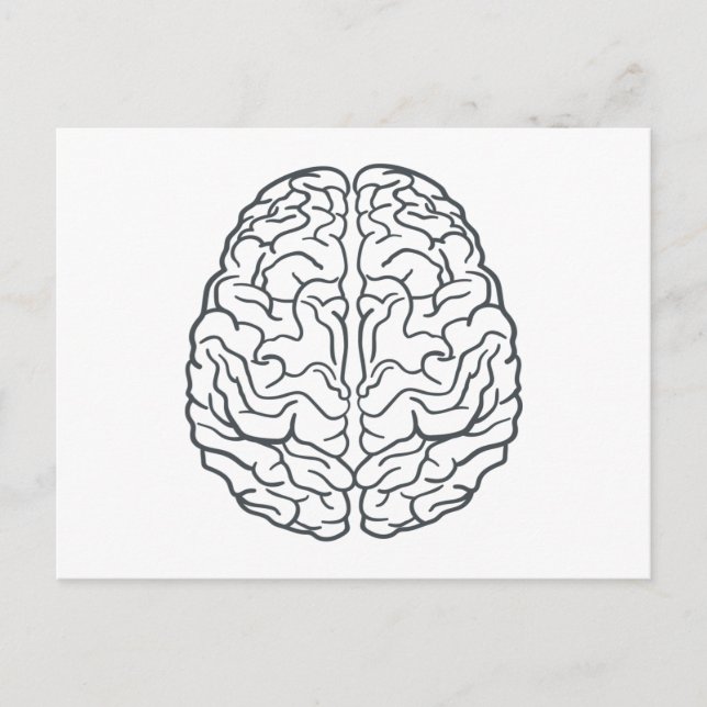 Human Brain Postcard (Front)