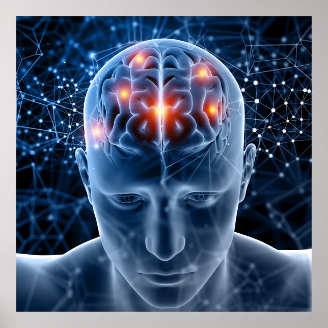 Human Brain Poster (Front)