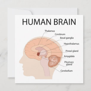 Human brain thank you card
