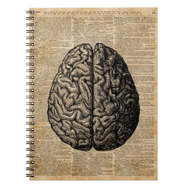Human Brain Vintage Illustration Dictionary Art Notebook (Front)
