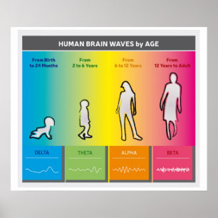 Human Brain Waves by Age Chart Diagram Rainbow