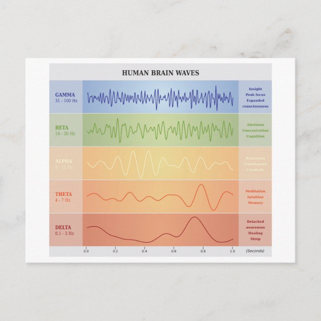 Human Brain Waves Chart Design Rainbow Colours Postcard (Front)