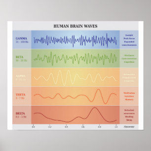 Human Brain Waves Diagram - Rainbow Colours Poster
