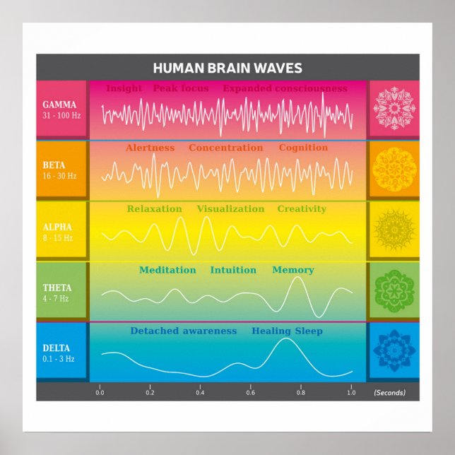 Human Brain Waves Diagram - Rainbow Colours Poster (Front)
