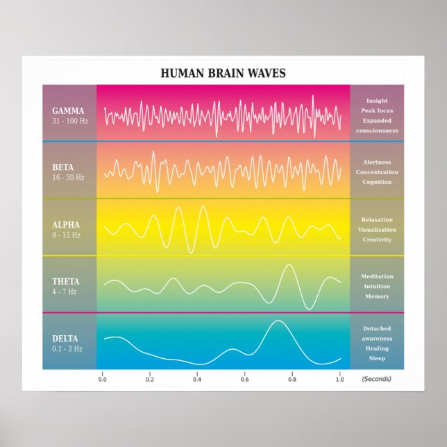 Human Brain Waves Diagram - Rainbow Colours Poster (Front)