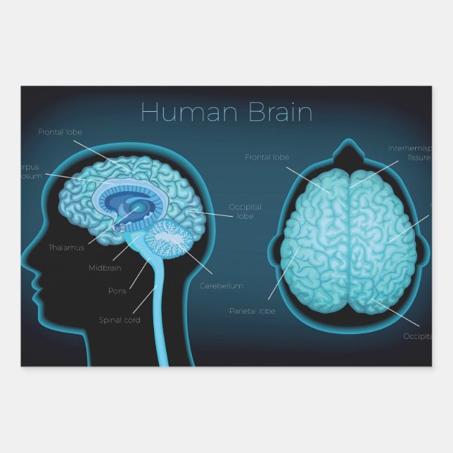 Human Brain Wrapping Paper Sheet (Front)