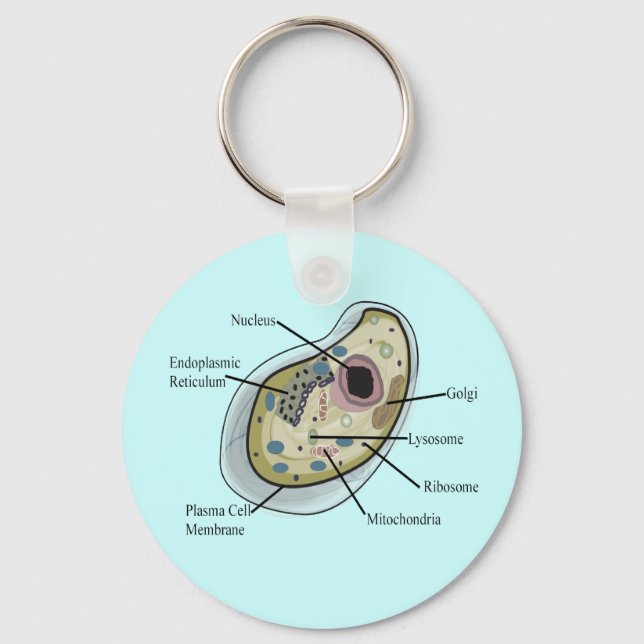 Human Cell Biology T-Shirts Key Ring (Front)