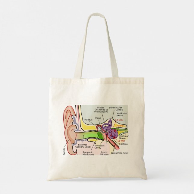 Human Ear Cochlear Frequency Mapping Diagram  Tote Bag (Back)