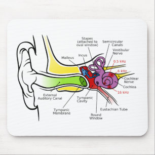 Human Ear Diagram with Cochlear Frequency Mapping Mouse Pad