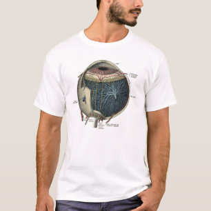 Human Eye Anatomy 1902 Vintage T-Shirt