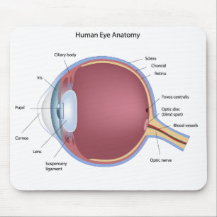 Human Eye Anatomy Mousepad