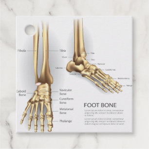 Human Foot Bone Favour Tags