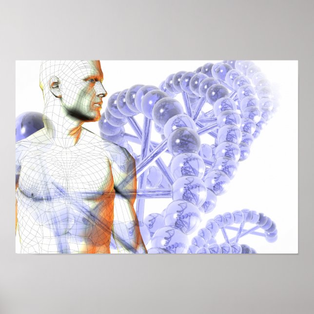 Human genome poster (Front)