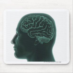 Human head in profile showing the brain mouse pad