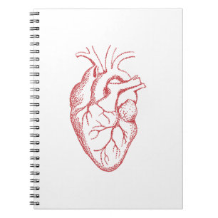 Human heart anatomy drawing notebook