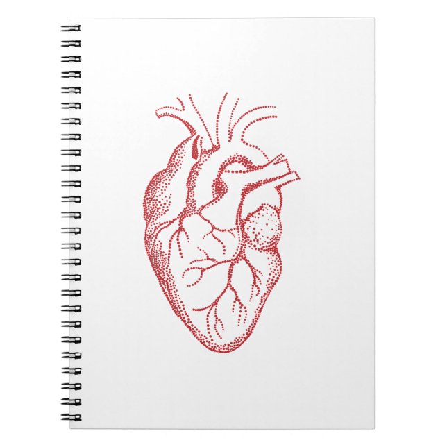 Human heart anatomy drawing notebook (Front)