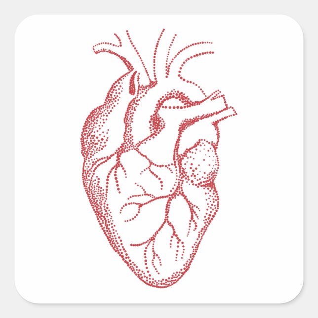 Human heart anatomy drawing square sticker (Front)