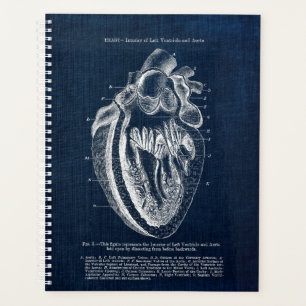 Human Heart Anatomy Interior View Planner