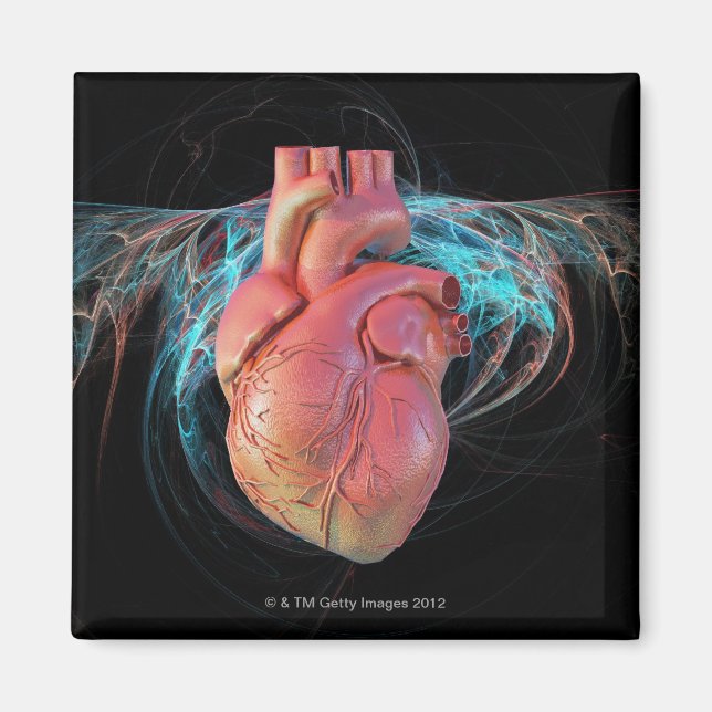 Human heart, computer artwork. magnet (Front)