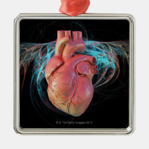 Human heart, computer artwork. metal ornament