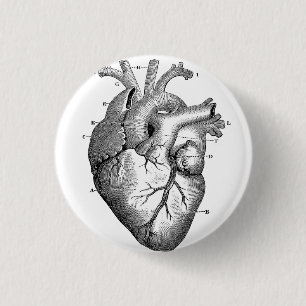 Human Heart Diagram Black & White Button Pin