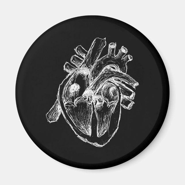 Human Heart Magnet (Front)